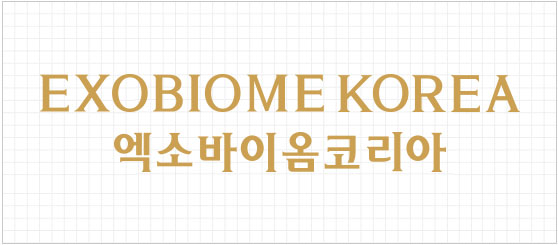 타입활용B