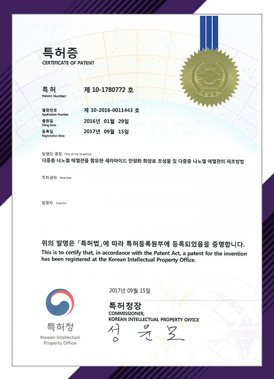 나노겔 에멀전